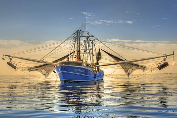 Shrimp-Boat_4029_LR